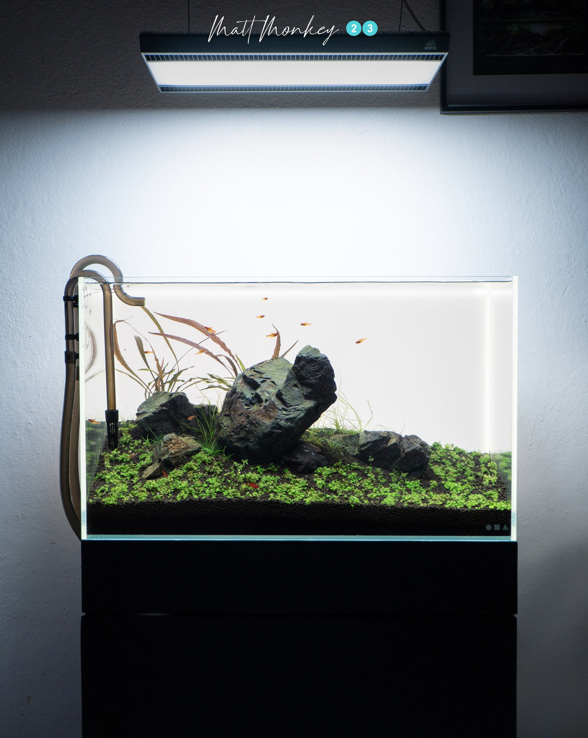 Instagram post by @mattmonkey23