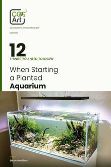 12 Things You Need to Know When Starting a Planted Aquarium — e-book